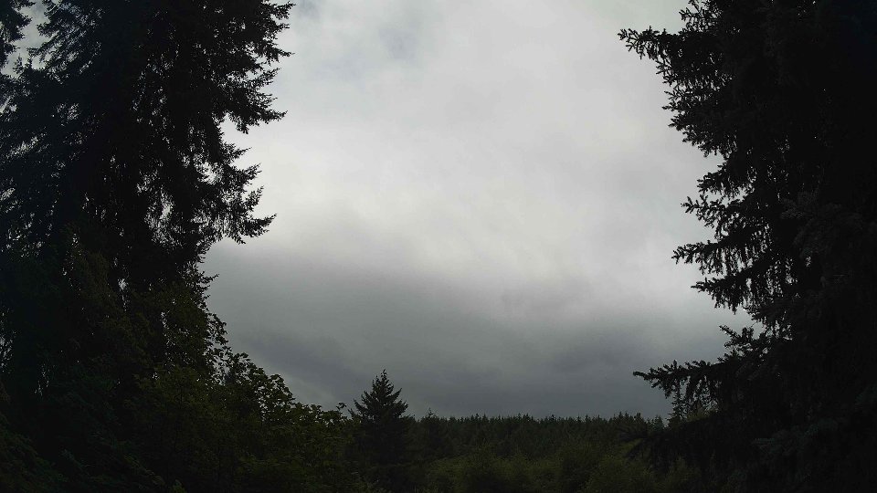 Pacific Northwest skyline timelapse frame from Jul 25th, 2026 at 11:00 AM