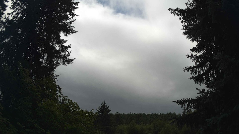 Pacific Northwest skyline timelapse frame from Jul 25th, 2026 at 11:15 AM