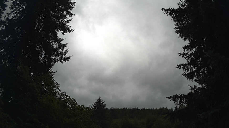 Pacific Northwest skyline timelapse frame from Jul 25th, 2026 at 11:30 AM
