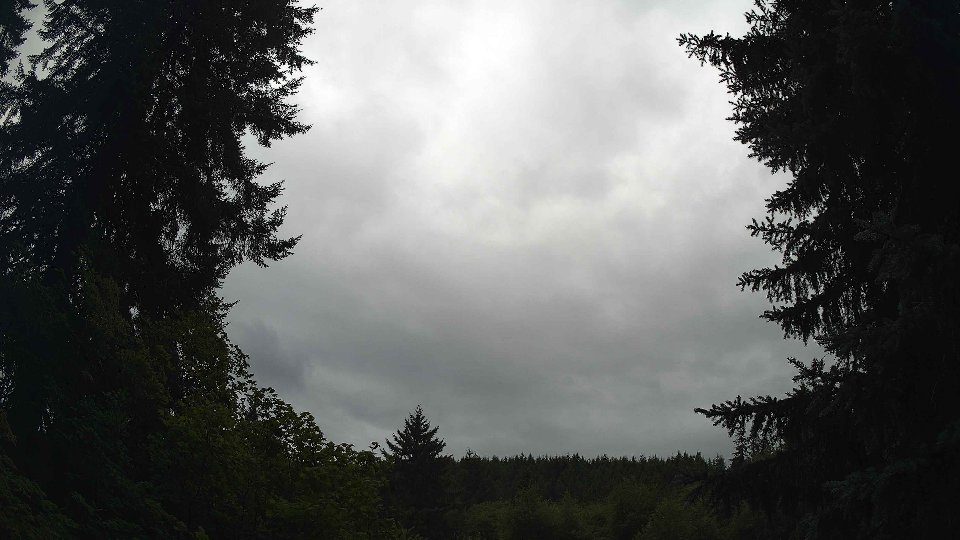 Pacific Northwest skyline timelapse frame from Jul 25th, 2026 at 11:45 AM