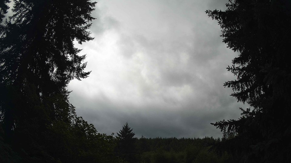 Pacific Northwest skyline timelapse frame from Jul 25th, 2026 at 12:15 PM