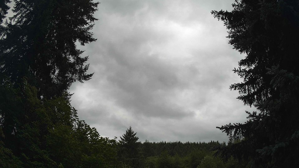 Pacific Northwest skyline timelapse frame from Jul 25th, 2026 at 12:30 PM