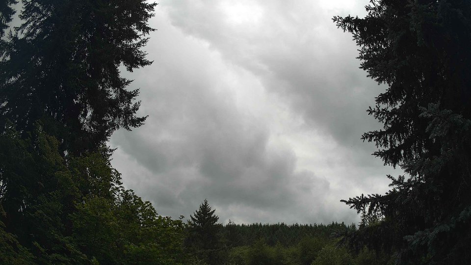 Pacific Northwest skyline timelapse frame from Jul 25th, 2026 at 12:45 PM