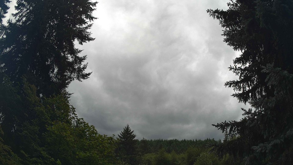 Pacific Northwest skyline timelapse frame from Jul 25th, 2026 at 1:15 PM