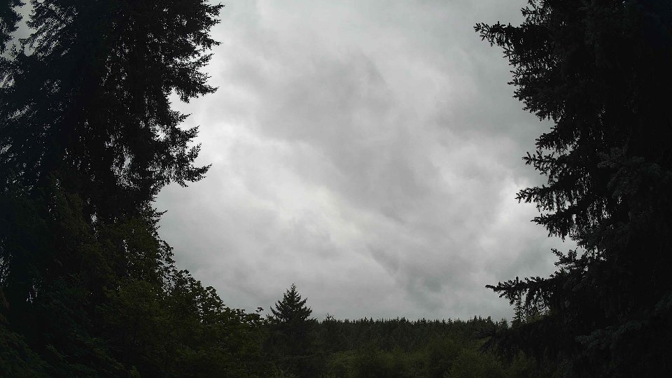 Pacific Northwest skyline timelapse frame from Jul 25th, 2026 at 1:30 PM