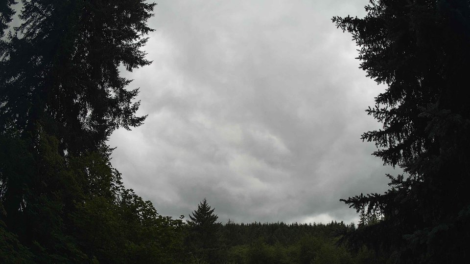 Pacific Northwest skyline timelapse frame from Jul 25th, 2026 at 2:00 PM
