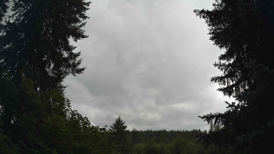 Pacific Northwest skyline timelapse frame from Jul 25th, 2026 at 2:15 PM
