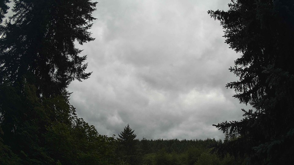 Pacific Northwest skyline timelapse frame from Jul 25th, 2026 at 2:30 PM