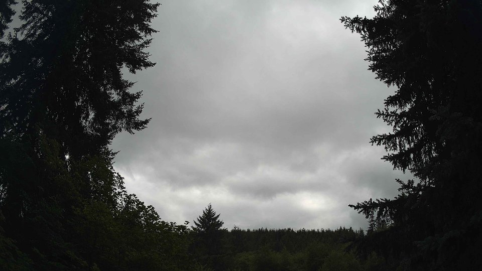 Pacific Northwest skyline timelapse frame from Jul 25th, 2026 at 5:15 PM