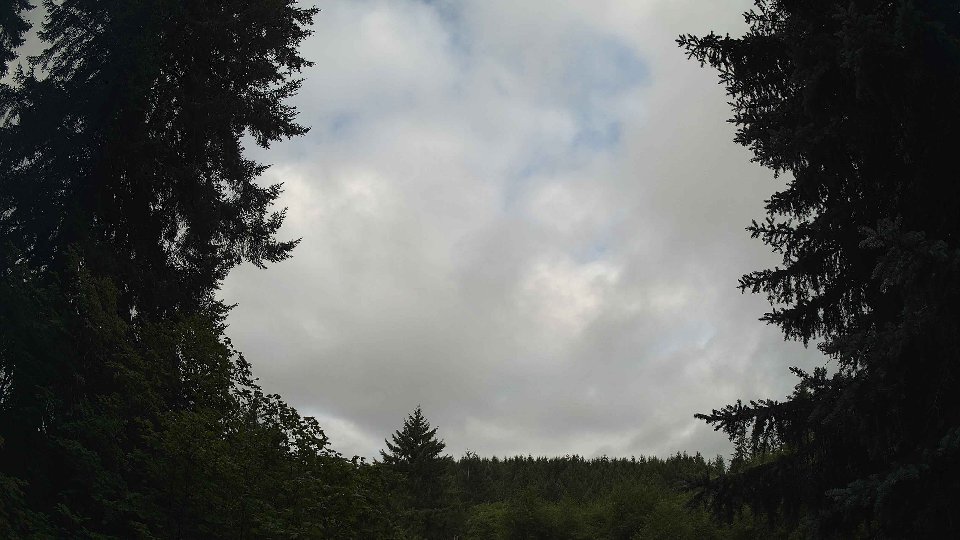 Pacific Northwest skyline timelapse frame from Jul 26th, 2026 at 8:00 AM