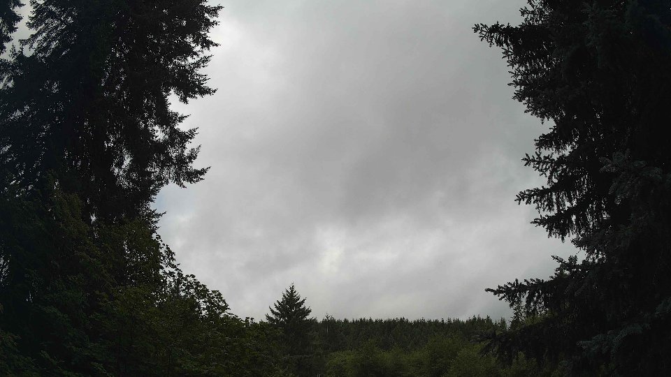 Pacific Northwest skyline timelapse frame from Jul 26th, 2026 at 8:30 AM