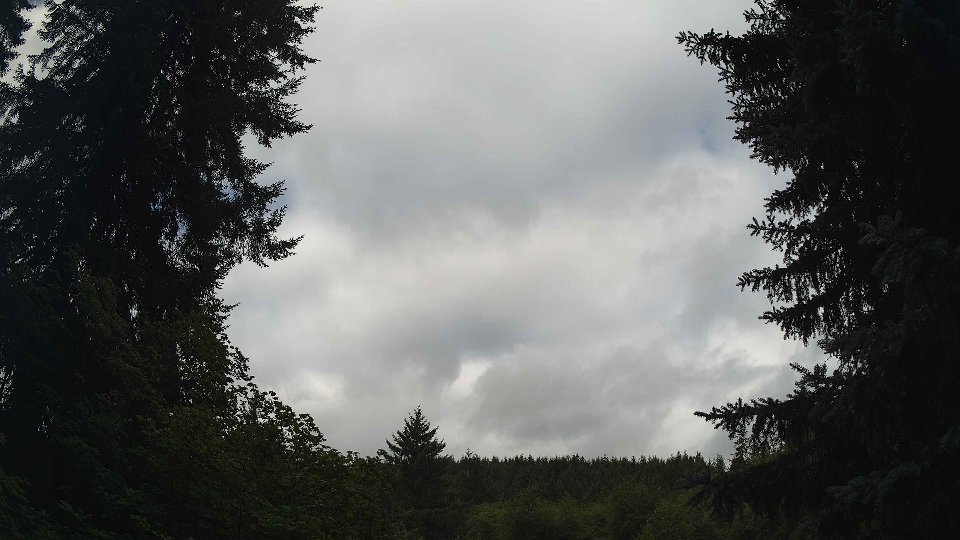 Pacific Northwest skyline timelapse frame from Jul 26th, 2026 at 9:15 AM