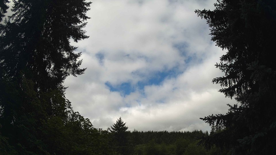Pacific Northwest skyline timelapse frame from Jul 26th, 2026 at 10:00 AM