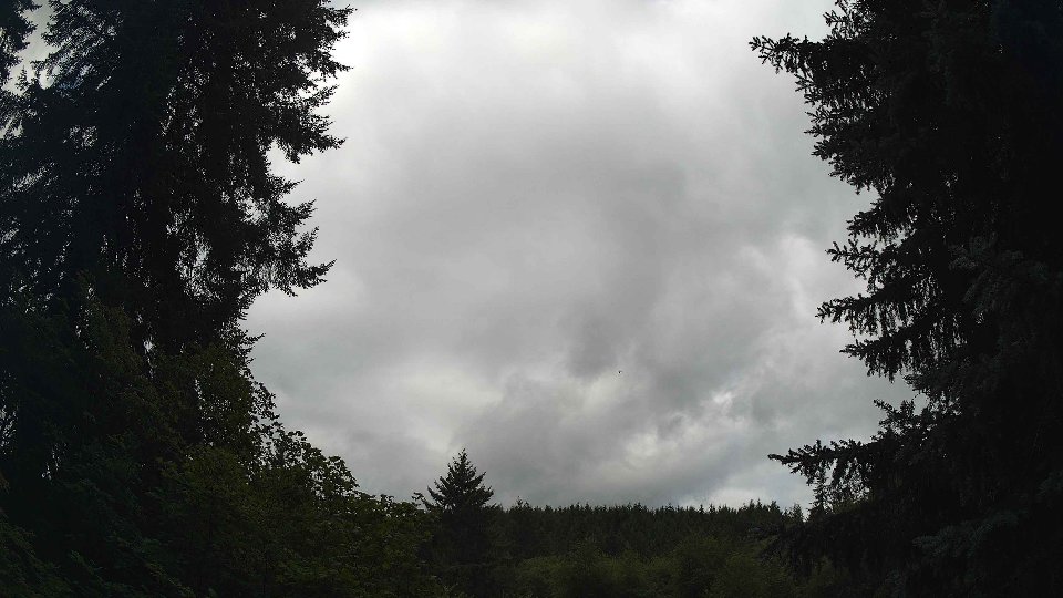 Pacific Northwest skyline timelapse frame from Jul 26th, 2026 at 10:15 AM