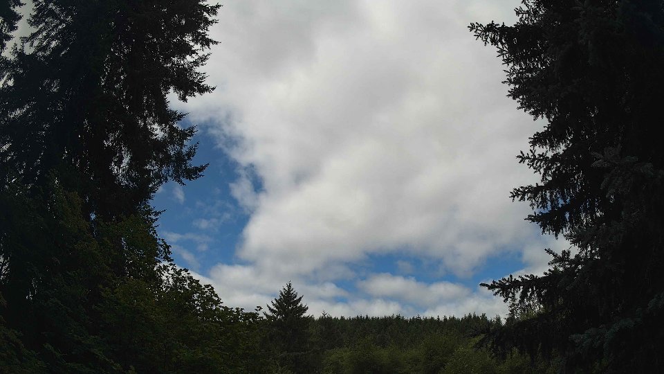 Pacific Northwest skyline timelapse frame from Jul 26th, 2026 at 10:45 AM