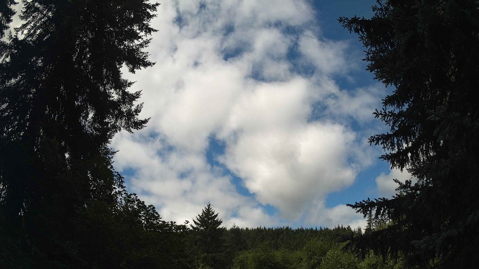 Pacific Northwest skyline timelapse frame from Jul 26th, 2026 at 11:00 AM