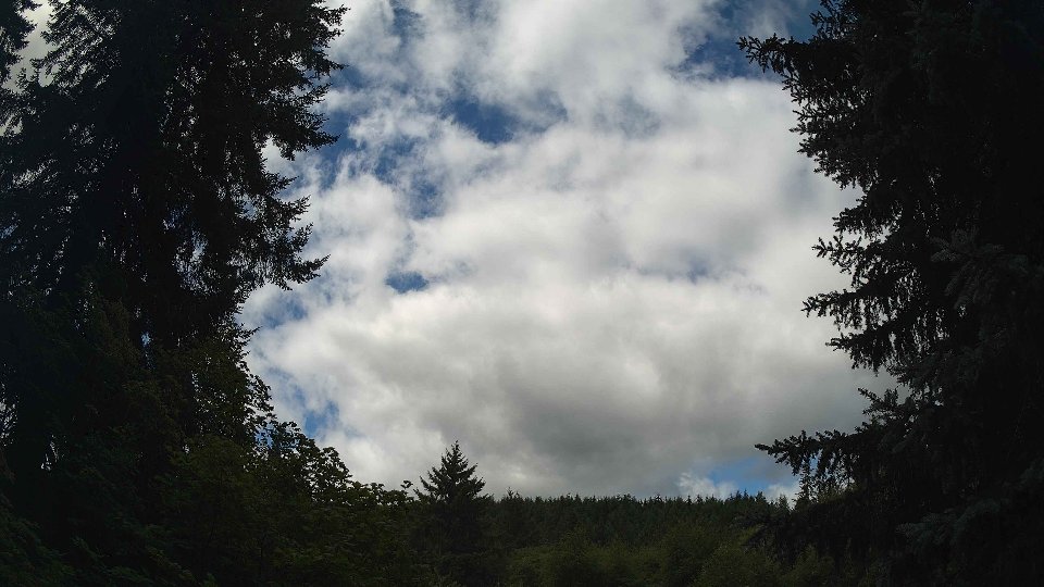 Pacific Northwest skyline timelapse frame from Jul 26th, 2026 at 11:15 AM