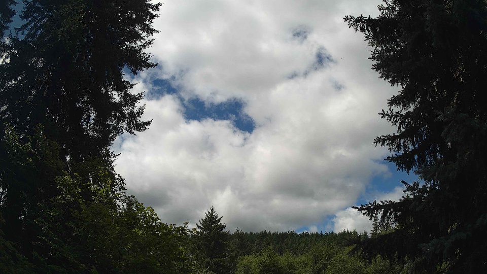 Pacific Northwest skyline timelapse frame from Jul 26th, 2026 at 11:30 AM