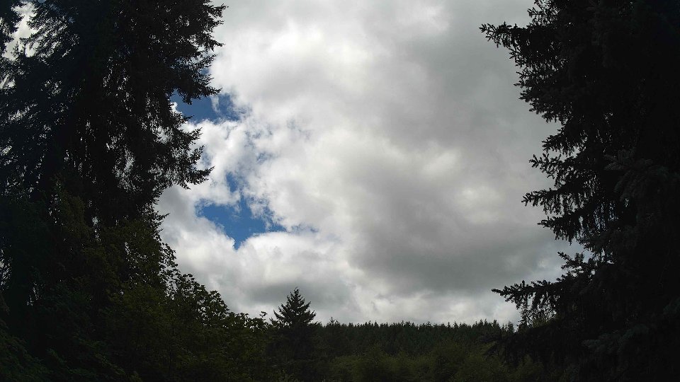 Pacific Northwest skyline timelapse frame from Jul 26th, 2026 at 11:45 AM