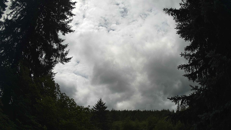 Pacific Northwest skyline timelapse frame from Jul 26th, 2026 at 1:15 PM