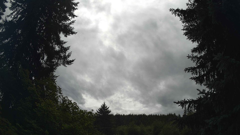 Pacific Northwest skyline timelapse frame from Jul 26th, 2026 at 2:30 PM