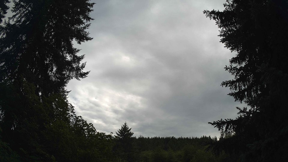 Pacific Northwest skyline timelapse frame from Jul 26th, 2026 at 5:30 PM
