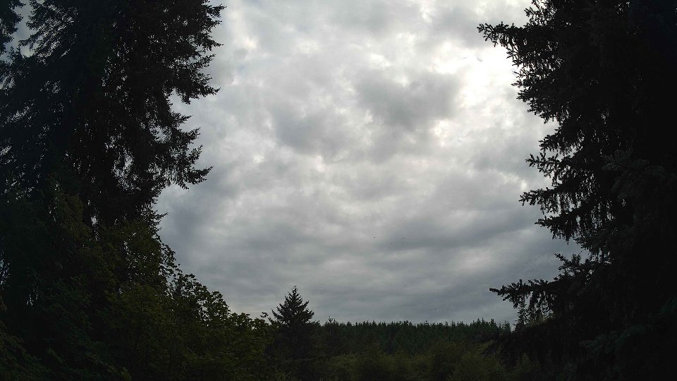Pacific Northwest skyline timelapse frame from Jul 26th, 2026 at 7:45 PM