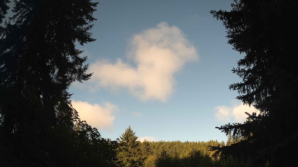 Pacific Northwest skyline timelapse frame from Jul 29th, 2026 at 7:45 AM