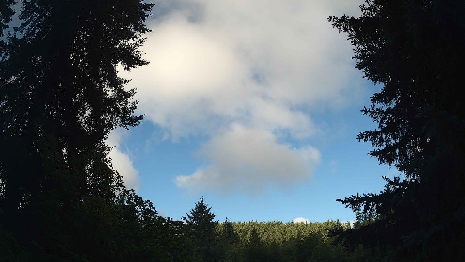 Pacific Northwest skyline timelapse frame from Jul 29th, 2026 at 8:00 AM
