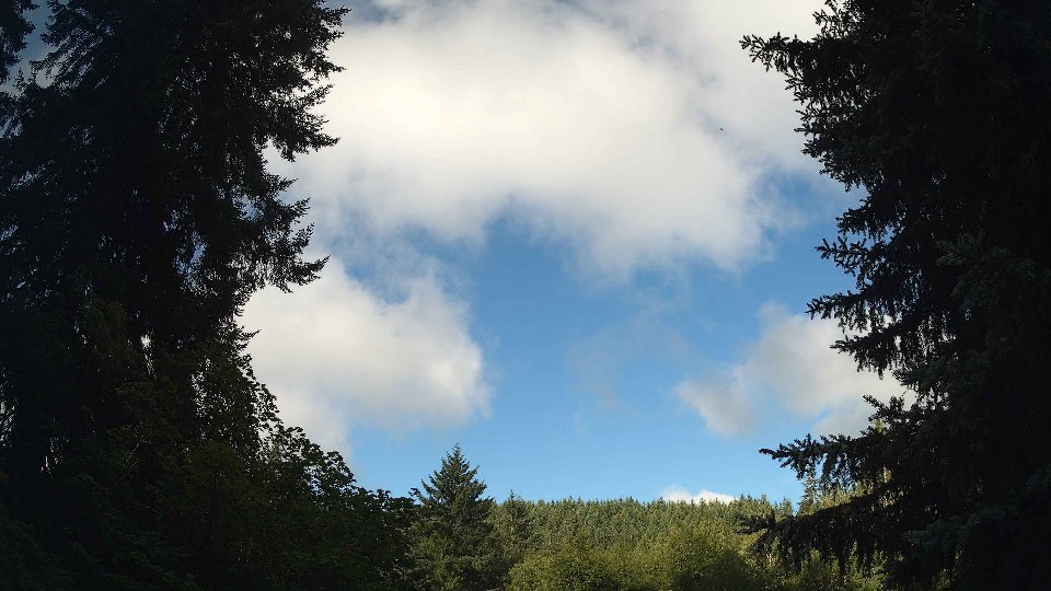 Pacific Northwest skyline timelapse frame from Jul 29th, 2026 at 8:15 AM