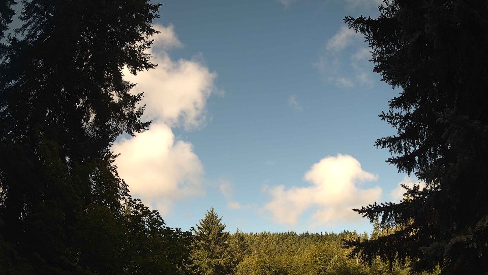 Pacific Northwest skyline timelapse frame from Jul 29th, 2026 at 8:30 AM