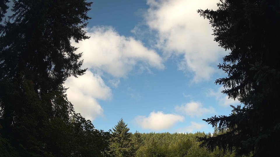 Pacific Northwest skyline timelapse frame from Jul 29th, 2026 at 8:45 AM