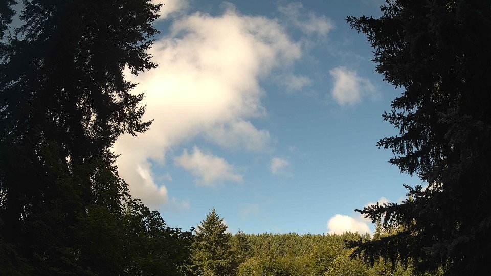 Pacific Northwest skyline timelapse frame from Jul 29th, 2026 at 9:00 AM