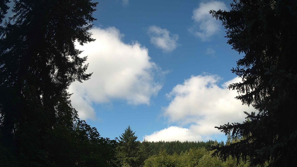 Pacific Northwest skyline timelapse frame from Jul 29th, 2026 at 9:15 AM