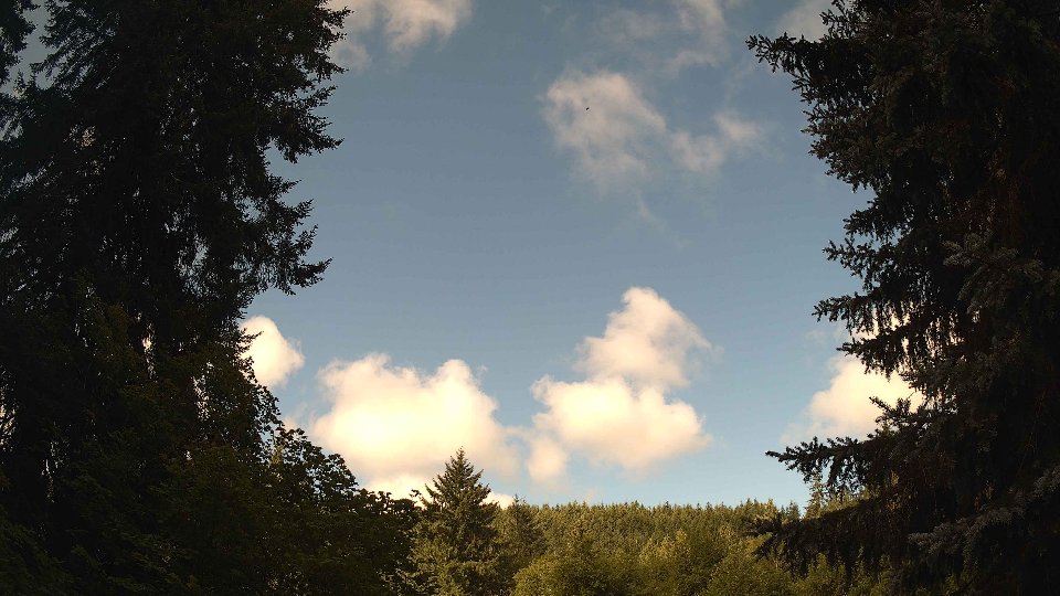 Pacific Northwest skyline timelapse frame from Jul 29th, 2026 at 9:30 AM