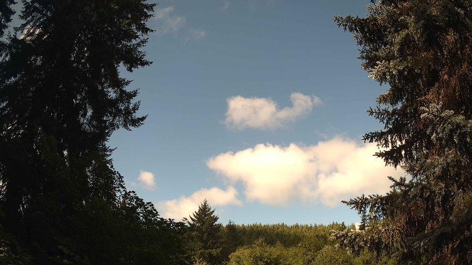 Pacific Northwest skyline timelapse frame from Jul 29th, 2026 at 9:45 AM