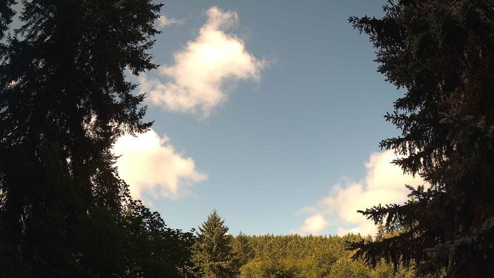 Pacific Northwest skyline timelapse frame from Jul 29th, 2026 at 10:00 AM