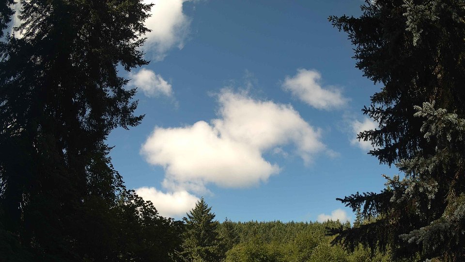 Pacific Northwest skyline timelapse frame from Jul 29th, 2026 at 10:15 AM