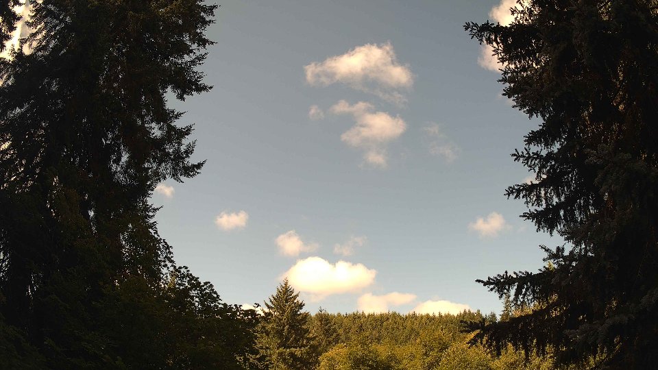 Pacific Northwest skyline timelapse frame from Jul 29th, 2026 at 10:30 AM