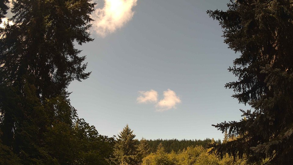Pacific Northwest skyline timelapse frame from Jul 29th, 2026 at 10:45 AM