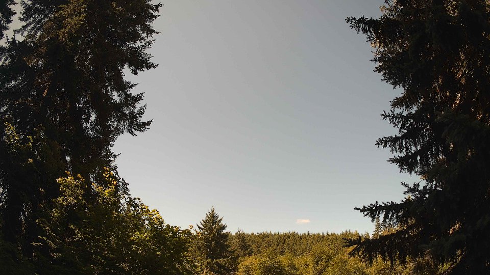 Pacific Northwest skyline timelapse frame from Jul 29th, 2026 at 11:30 AM