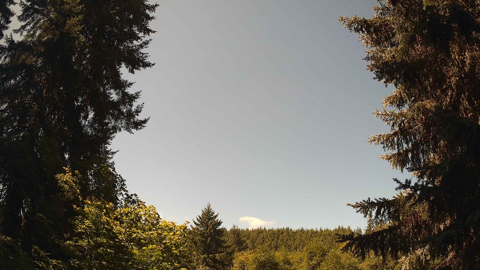 Pacific Northwest skyline timelapse frame from Jul 29th, 2026 at 11:45 AM