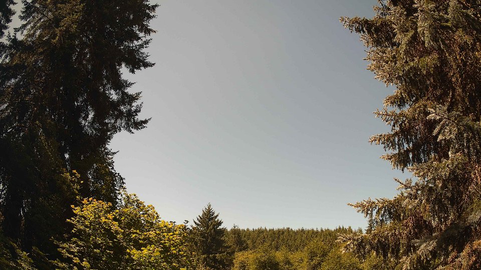 Pacific Northwest skyline timelapse frame from Jul 29th, 2026 at 12:00 PM