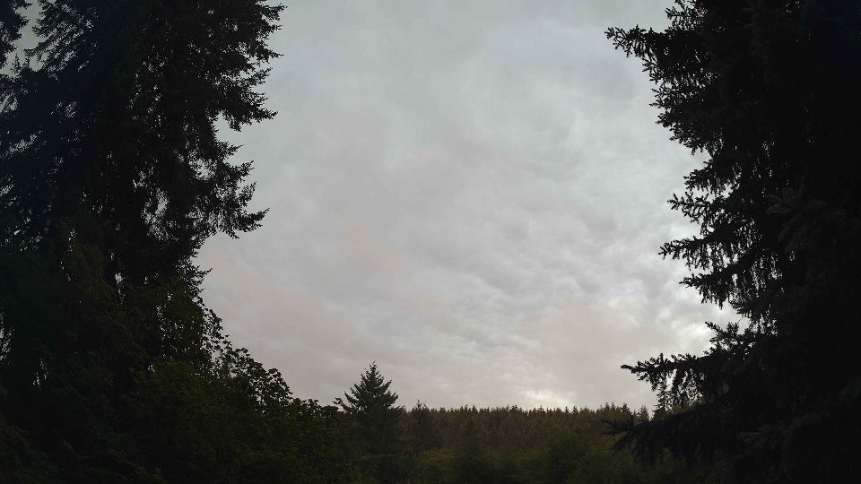 Pacific Northwest skyline timelapse frame from Jul 30th, 2026 at 6:00 AM