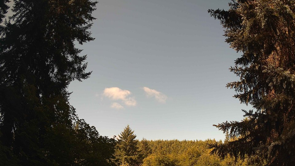 Pacific Northwest skyline timelapse frame from Jul 30th, 2026 at 10:00 AM