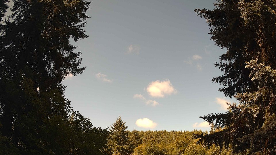Pacific Northwest skyline timelapse frame from Jul 30th, 2026 at 10:15 AM