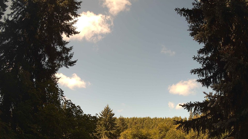 Pacific Northwest skyline timelapse frame from Jul 30th, 2026 at 10:30 AM