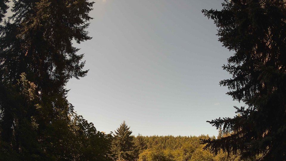Pacific Northwest skyline timelapse frame from Jul 30th, 2026 at 11:15 AM