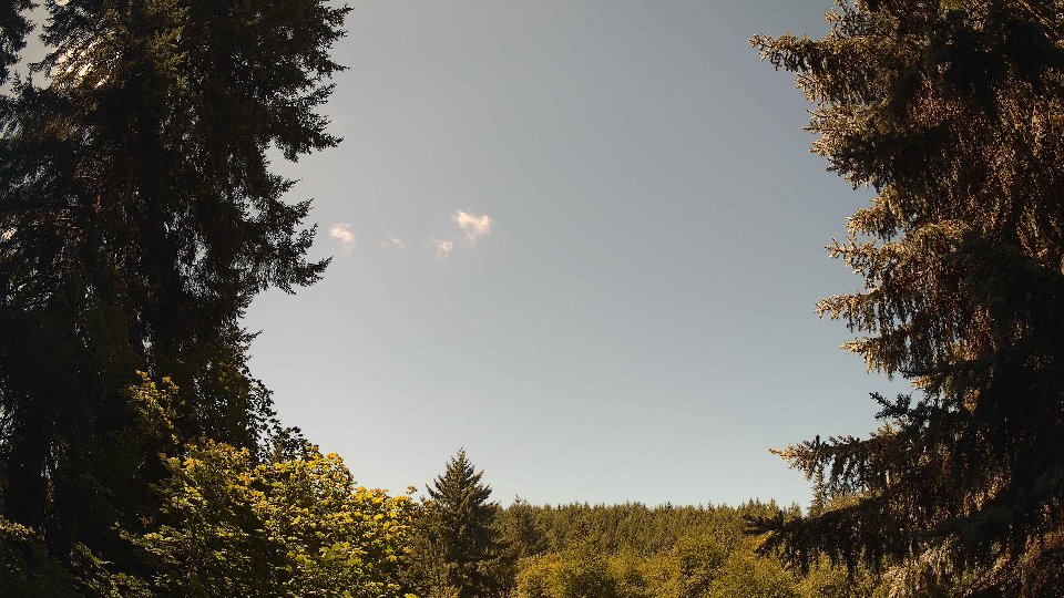 Pacific Northwest skyline timelapse frame from Jul 30th, 2026 at 11:45 AM