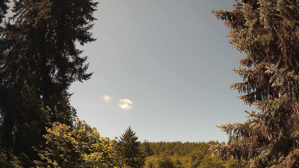 Pacific Northwest skyline timelapse frame from Jul 30th, 2026 at 12:00 PM
